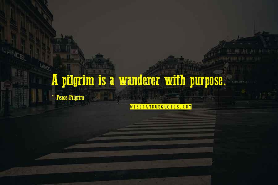 Sciutto Quotes By Peace Pilgrim: A pilgrim is a wanderer with purpose. Sciutto Quotes By Peace Pilgrim: A pilgrim is a wanderer with purpose.