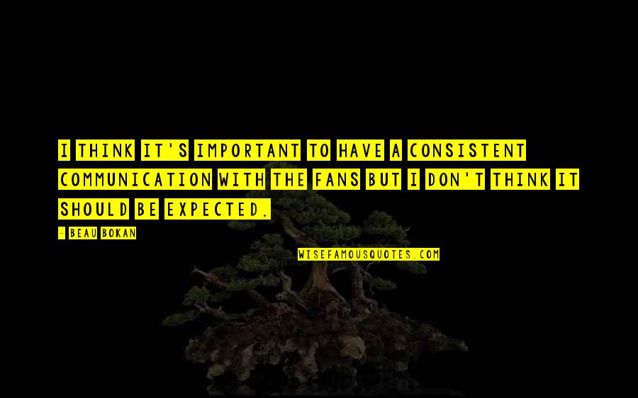 Sclafani Crushed Quotes By Beau Bokan: I think it's important to have a consistent Sclafani Crushed Quotes By Beau Bokan: I think it's important to have a consistent