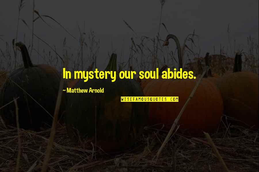 Scold Ppl Quotes By Matthew Arnold: In mystery our soul abides. Scold Ppl Quotes By Matthew Arnold: In mystery our soul abides.