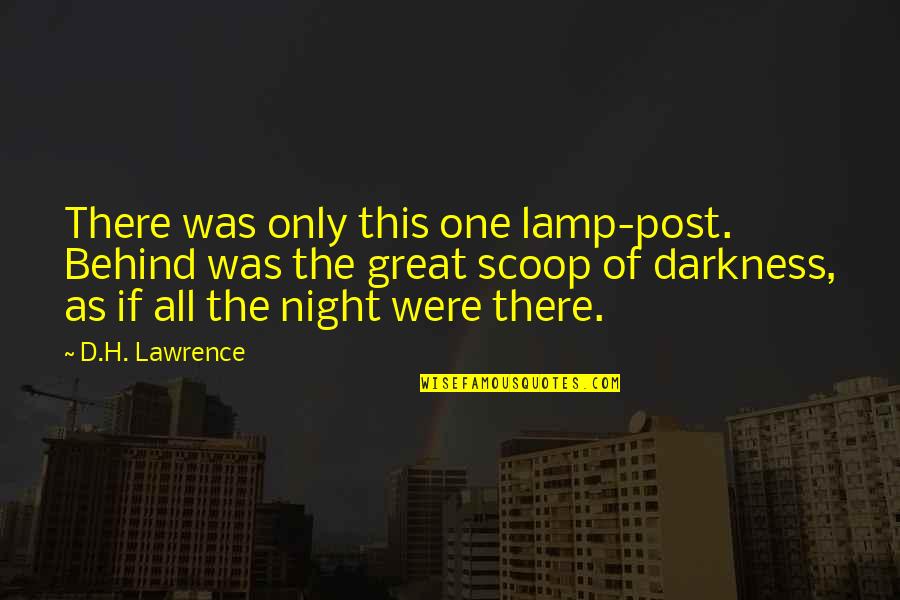 Scoop Up Quotes By D.H. Lawrence: There was only this one lamp-post. Behind was