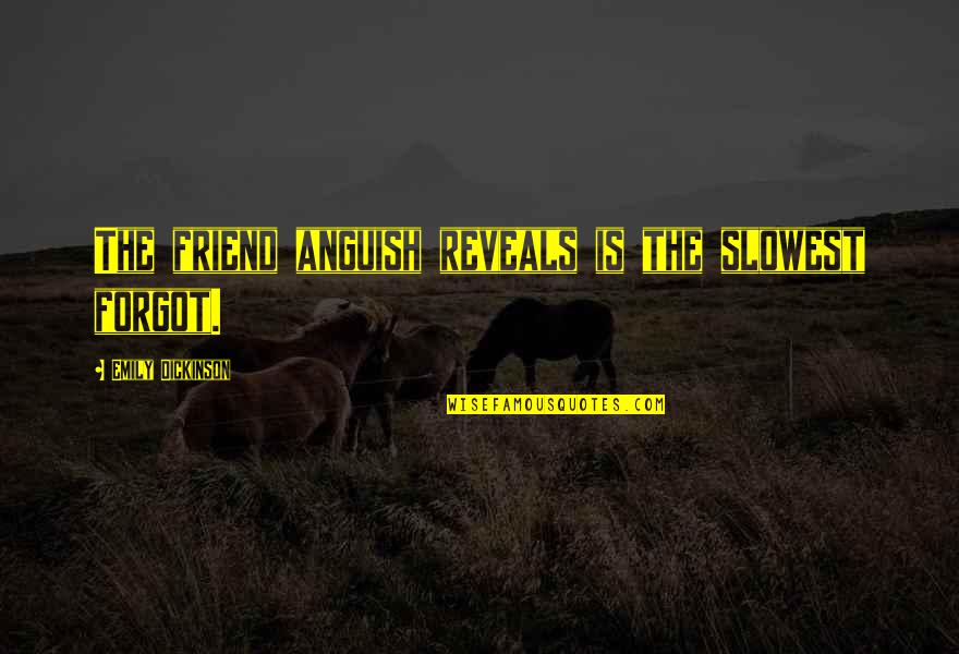 Scoperte Scientifiche Quotes By Emily Dickinson: The friend anguish reveals is the slowest forgot.