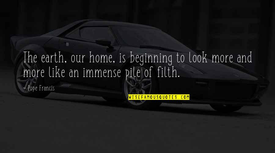 Scorcelletti Quotes By Pope Francis: The earth, our home, is beginning to look