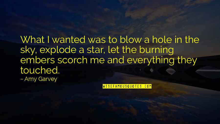 Scorch Quotes By Amy Garvey: What I wanted was to blow a hole