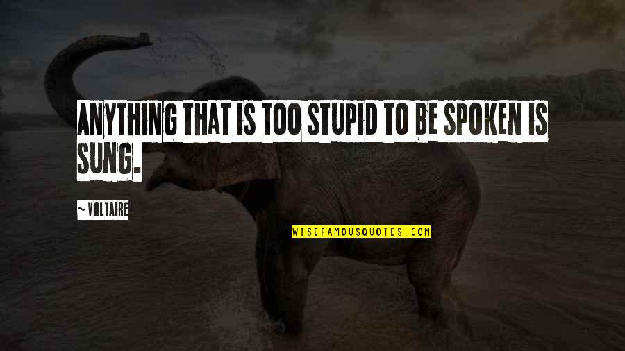 Scorpio Zodiac Quotes By Voltaire: Anything that is too stupid to be spoken