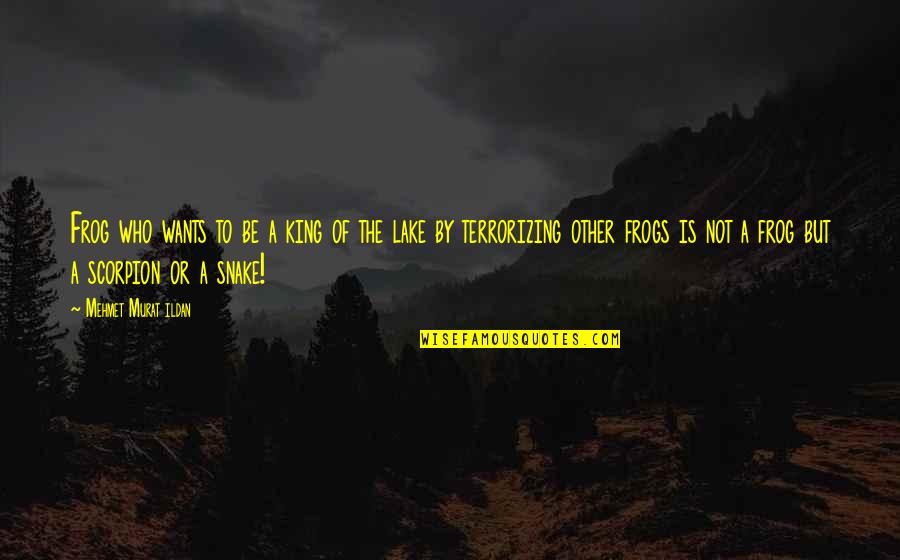 Scorpion King Quotes By Mehmet Murat Ildan: Frog who wants to be a king of Scorpion King Quotes By Mehmet Murat Ildan: Frog who wants to be a king of