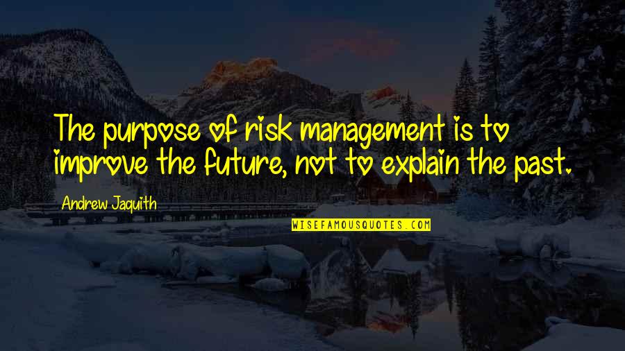 Scorpios Sting Quotes By Andrew Jaquith: The purpose of risk management is to improve