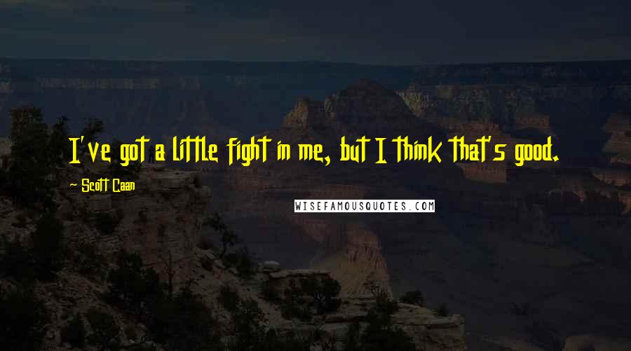 Scott Caan quotes: I've got a little fight in me, but I think that's good.