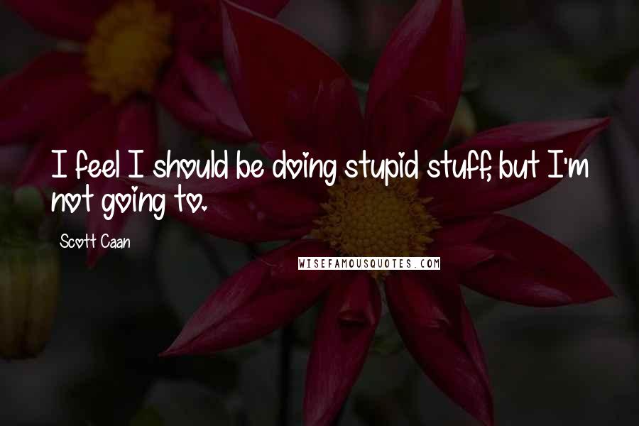 Scott Caan quotes: I feel I should be doing stupid stuff, but I'm not going to.
