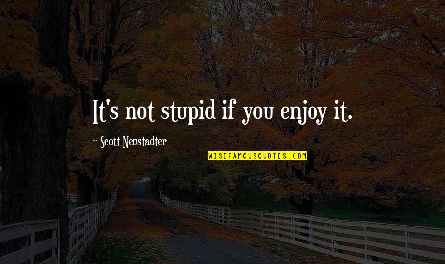 Scott Neustadter Quotes By Scott Neustadter: It's not stupid if you enjoy it.