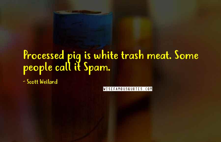 Scott Weiland quotes: Processed pig is white trash meat. Some people call it Spam.