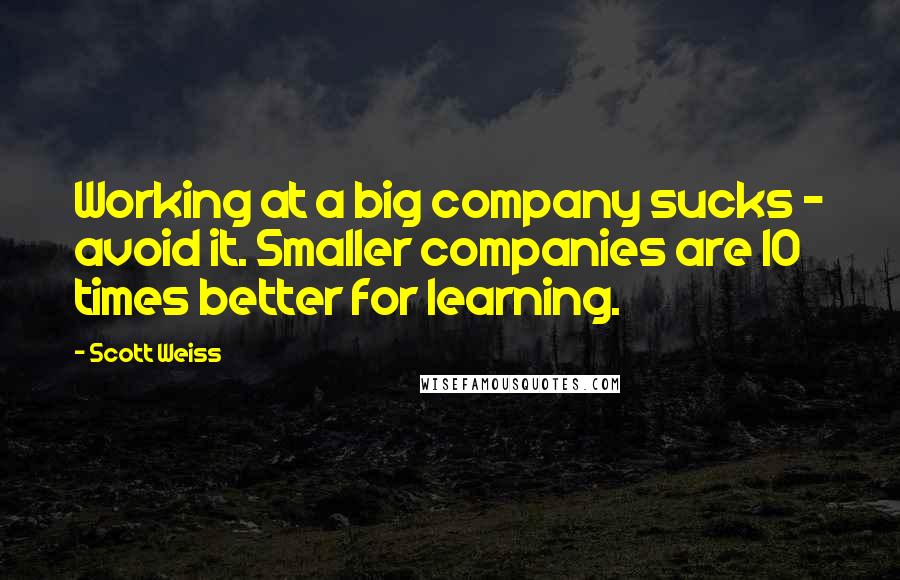 Scott Weiss quotes: Working at a big company sucks - avoid it. Smaller companies are 10 times better for learning.