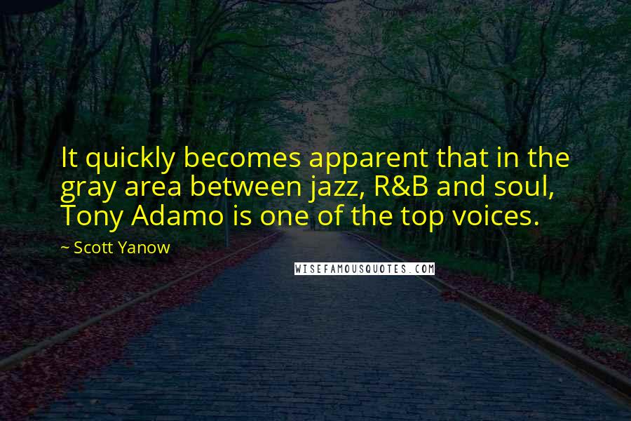 Scott Yanow quotes: It quickly becomes apparent that in the gray area between jazz, R&B and soul, Tony Adamo is one of the top voices.