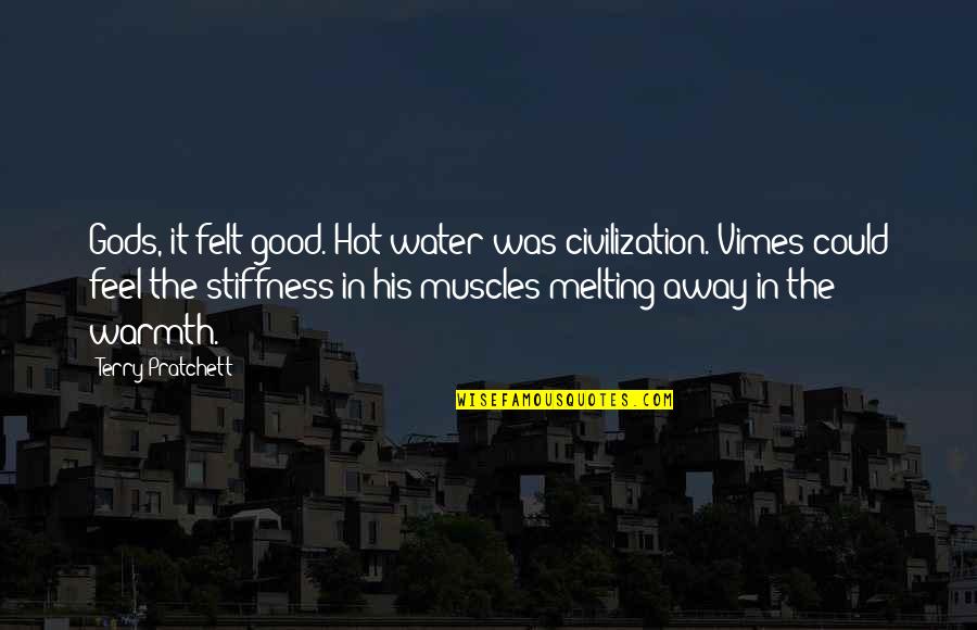 Scottish Dragons Quotes By Terry Pratchett: Gods, it felt good. Hot water was civilization.