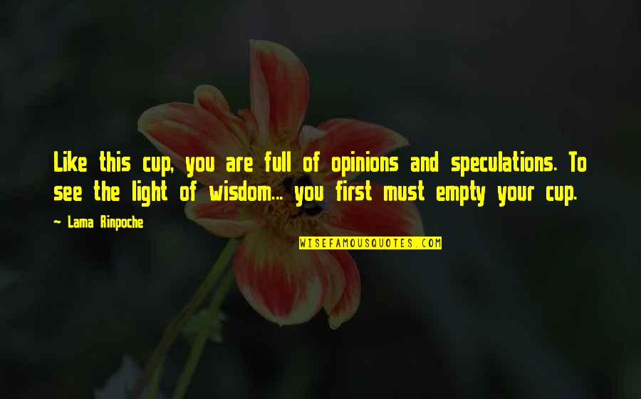 Scourged Biblical Quotes By Lama Rinpoche: Like this cup, you are full of opinions