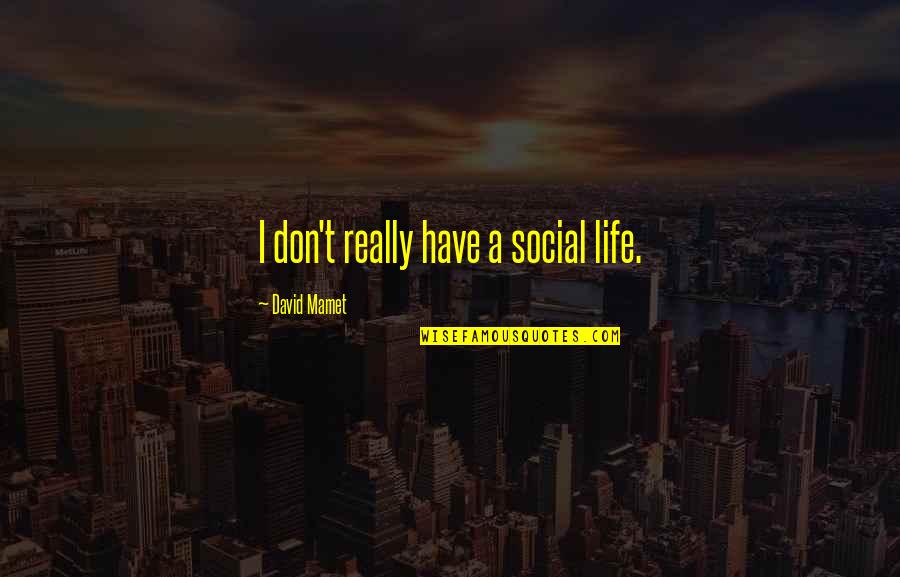 Scout Loss Of Innocence Quotes By David Mamet: I don't really have a social life.