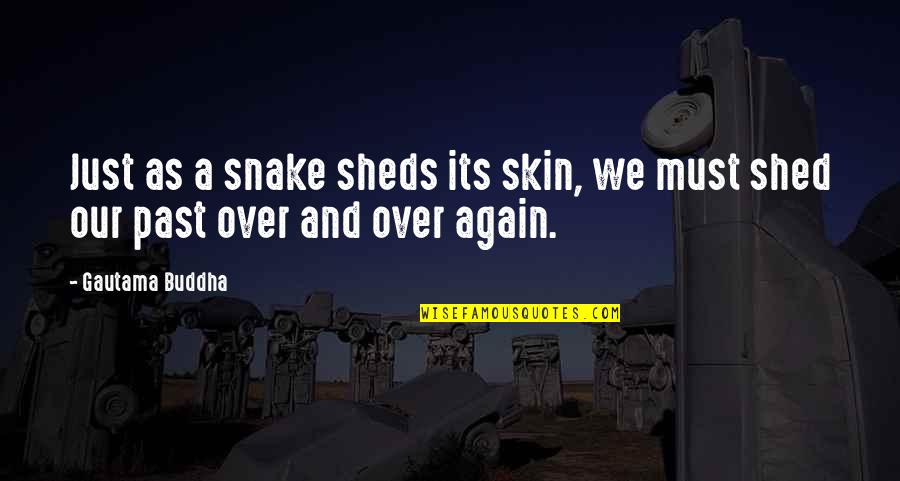 Scowls Clue Quotes By Gautama Buddha: Just as a snake sheds its skin, we