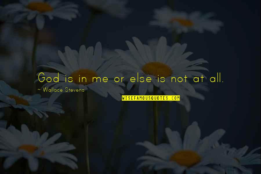 Scp Mtf Quotes By Wallace Stevens: God is in me or else is not