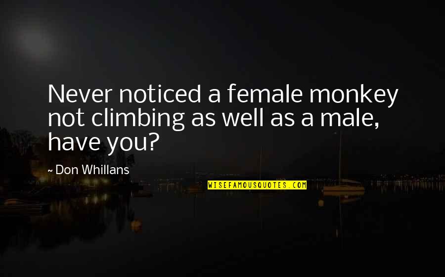 Scrambly Quotes By Don Whillans: Never noticed a female monkey not climbing as
