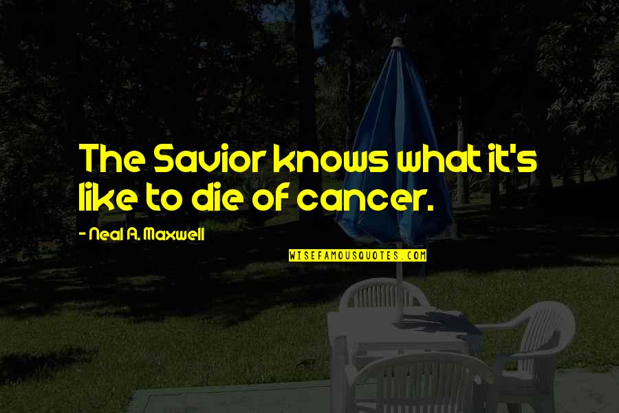 Scrannel Quotes By Neal A. Maxwell: The Savior knows what it's like to die Scrannel Quotes By Neal A. Maxwell: The Savior knows what it's like to die