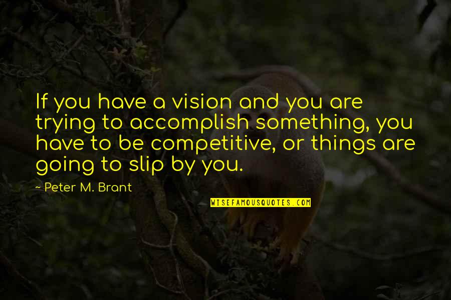 Scraper Quotes By Peter M. Brant: If you have a vision and you are