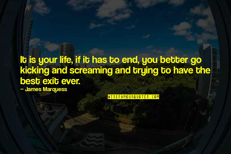 Screaming And Kicking Quotes By James Marquess: It is your life, if it has to Screaming And Kicking Quotes By James Marquess: It is your life, if it has to