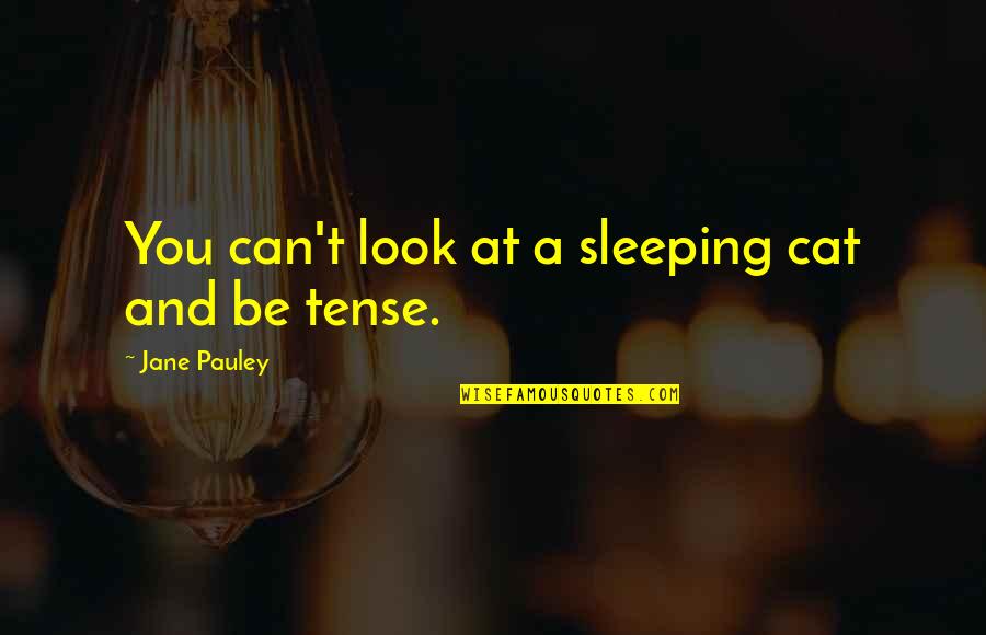 Screaming For Love And No One Hears You Quotes By Jane Pauley: You can't look at a sleeping cat and Screaming For Love And No One Hears You Quotes By Jane Pauley: You can't look at a sleeping cat and