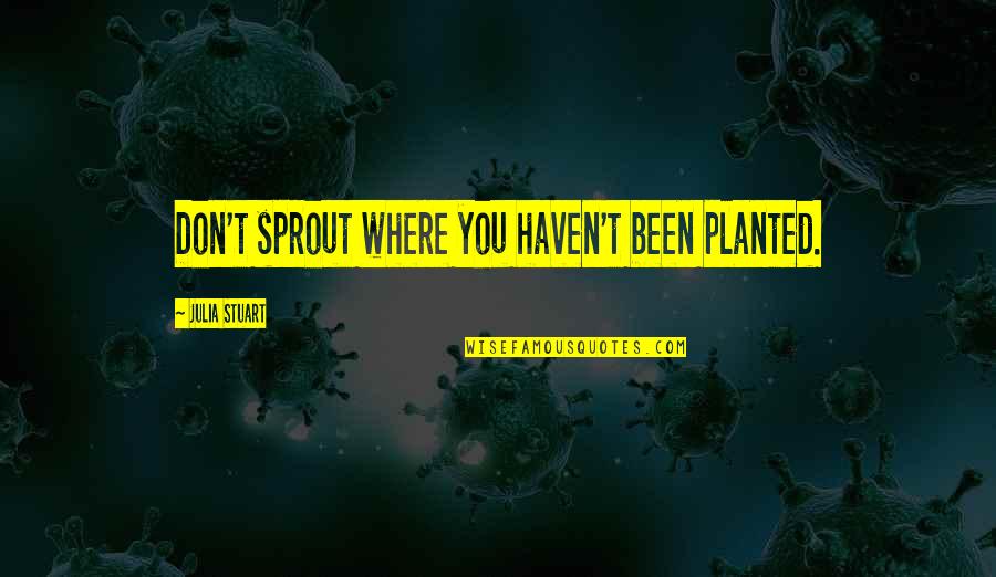 Screeches Quotes By Julia Stuart: Don't sprout where you haven't been planted.