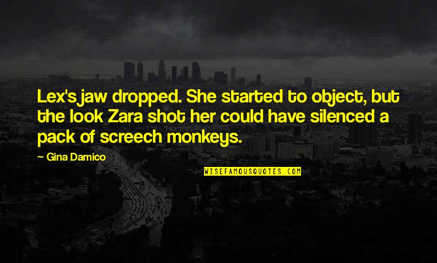 Screech's Quotes By Gina Damico: Lex's jaw dropped. She started to object, but