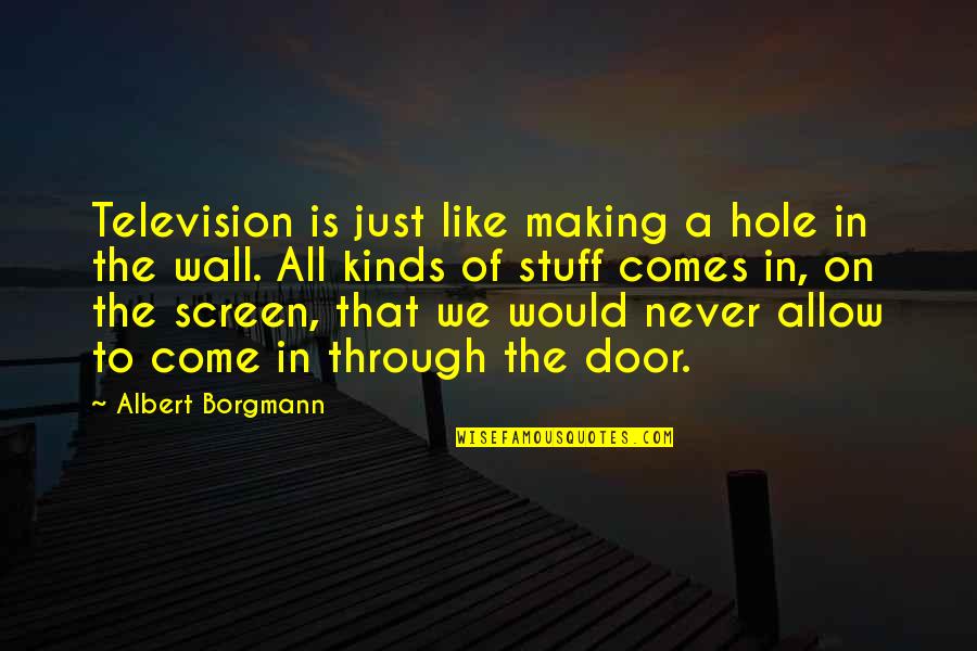 Screen Doors Quotes By Albert Borgmann: Television is just like making a hole in