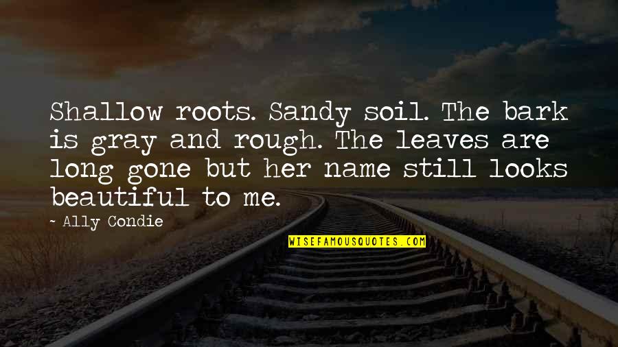 Screwed By Family Quotes By Ally Condie: Shallow roots. Sandy soil. The bark is gray