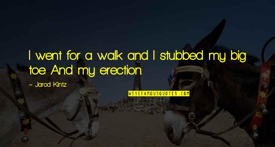 Scrisul Italic Quotes By Jarod Kintz: I went for a walk and I stubbed