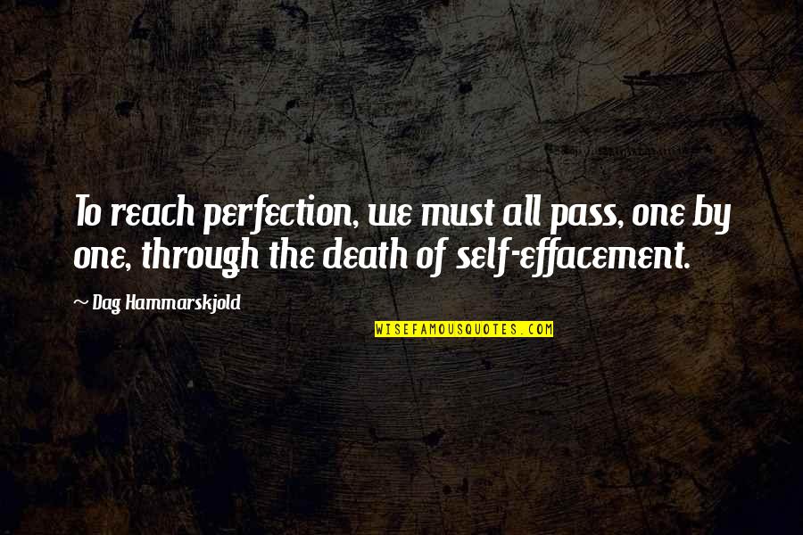 Scross Quotes By Dag Hammarskjold: To reach perfection, we must all pass, one