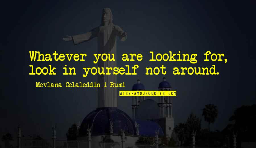 Sculpted Quotes By Mevlana Celaleddin-i Rumi: Whatever you are looking for, look in yourself Sculpted Quotes By Mevlana Celaleddin-i Rumi: Whatever you are looking for, look in yourself