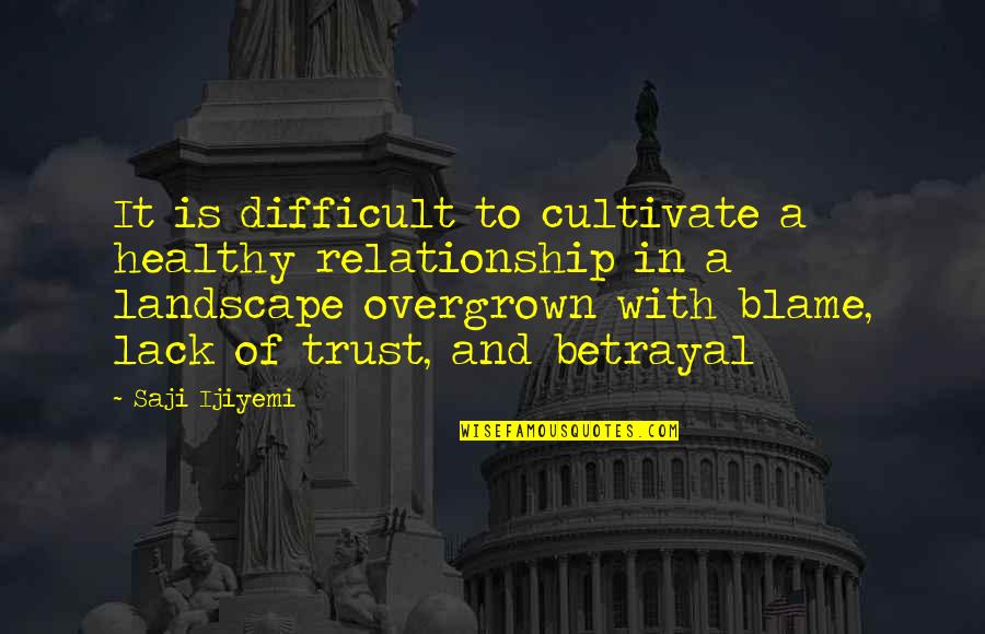 Sculpting Your Body Quotes By Saji Ijiyemi: It is difficult to cultivate a healthy relationship Sculpting Your Body Quotes By Saji Ijiyemi: It is difficult to cultivate a healthy relationship