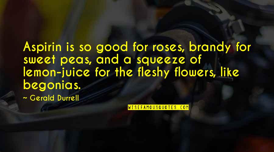 Scuteri Materials Quotes By Gerald Durrell: Aspirin is so good for roses, brandy for Scuteri Materials Quotes By Gerald Durrell: Aspirin is so good for roses, brandy for