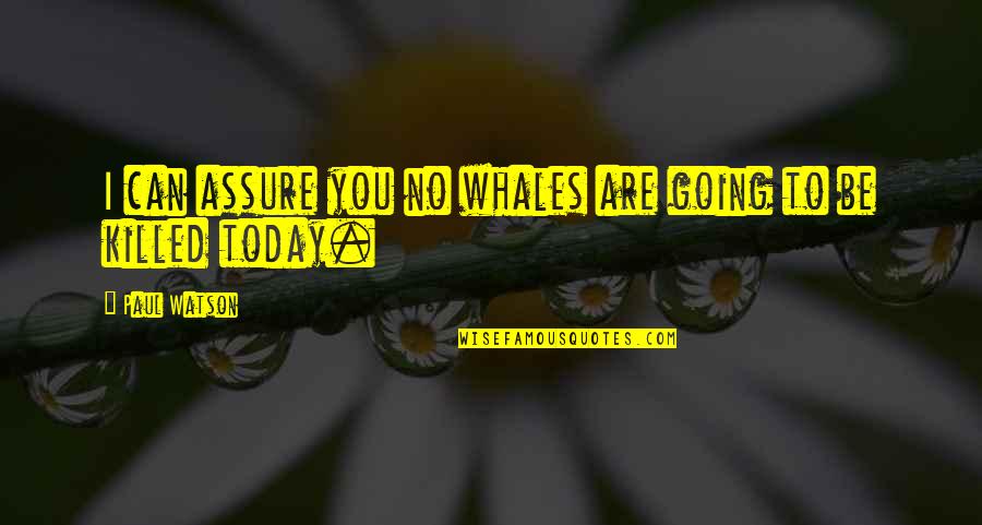 Scylern Quotes By Paul Watson: I can assure you no whales are going Scylern Quotes By Paul Watson: I can assure you no whales are going