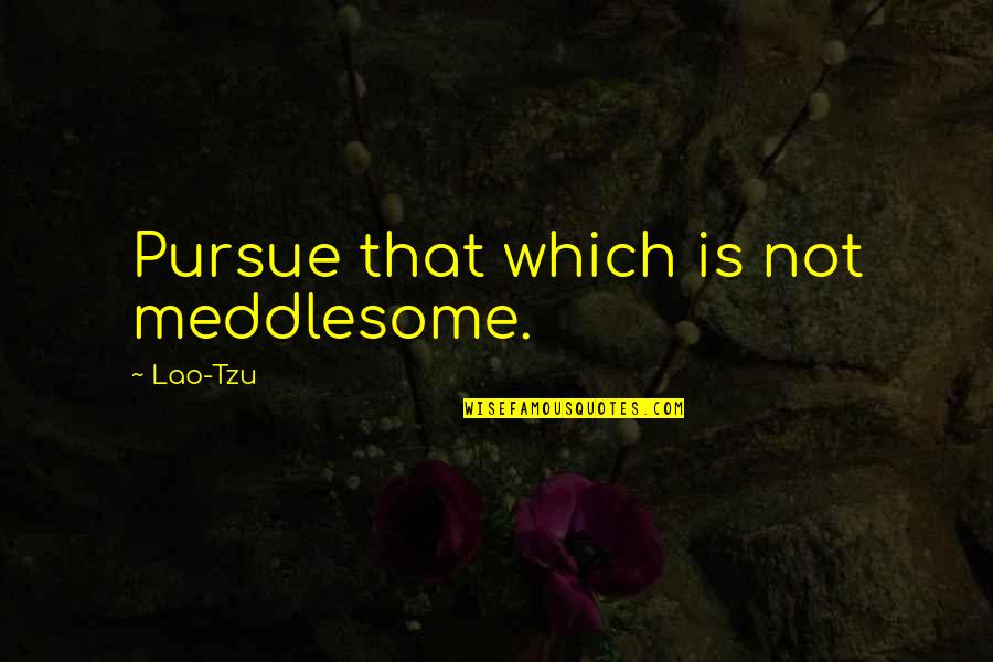 Sdegno La Quotes By Lao-Tzu: Pursue that which is not meddlesome. Sdegno La Quotes By Lao-Tzu: Pursue that which is not meddlesome.