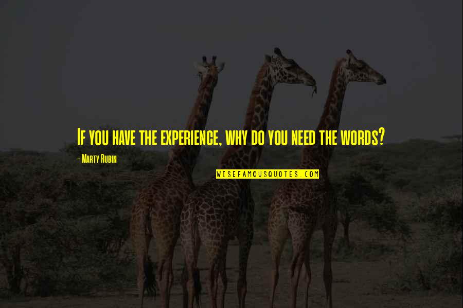 Se Kin S Ng Quotes By Marty Rubin: If you have the experience, why do you Se Kin S Ng Quotes By Marty Rubin: If you have the experience, why do you
