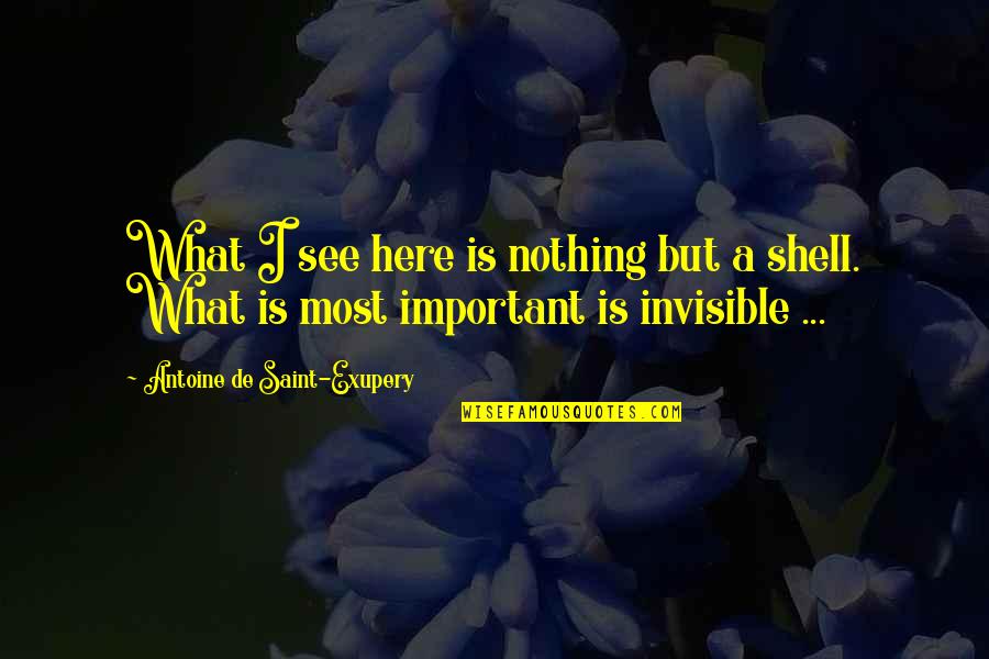 Se Masih Dajjal Quotes By Antoine De Saint-Exupery: What I see here is nothing but a