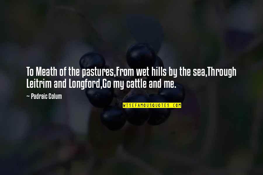 Sea And Me Quotes By Padraic Colum: To Meath of the pastures,From wet hills by Sea And Me Quotes By Padraic Colum: To Meath of the pastures,From wet hills by