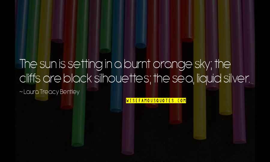 Sea And Sunset Quotes By Laura Treacy Bentley: The sun is setting in a burnt orange