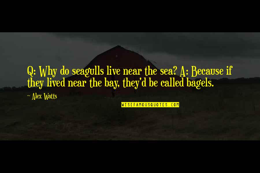 Sea Bay Quotes By Alex Watts: Q: Why do seagulls live near the sea?