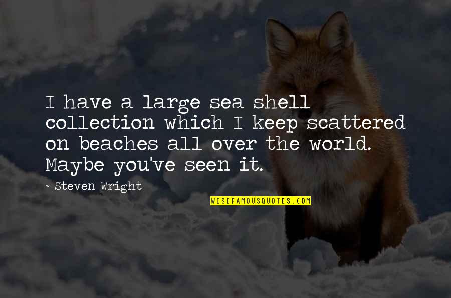 Sea Beaches Quotes By Steven Wright: I have a large sea shell collection which