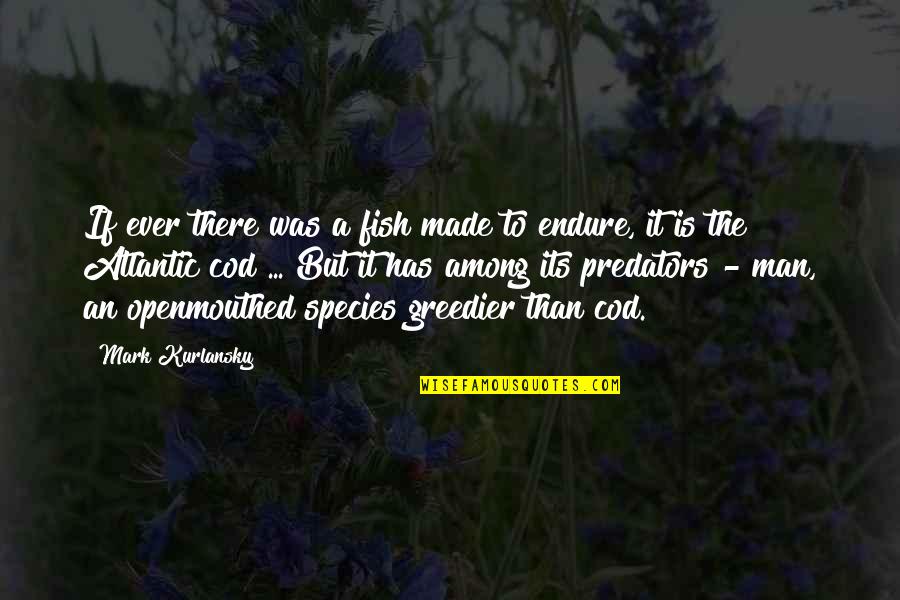 Sea Man Quotes By Mark Kurlansky: If ever there was a fish made to Sea Man Quotes By Mark Kurlansky: If ever there was a fish made to