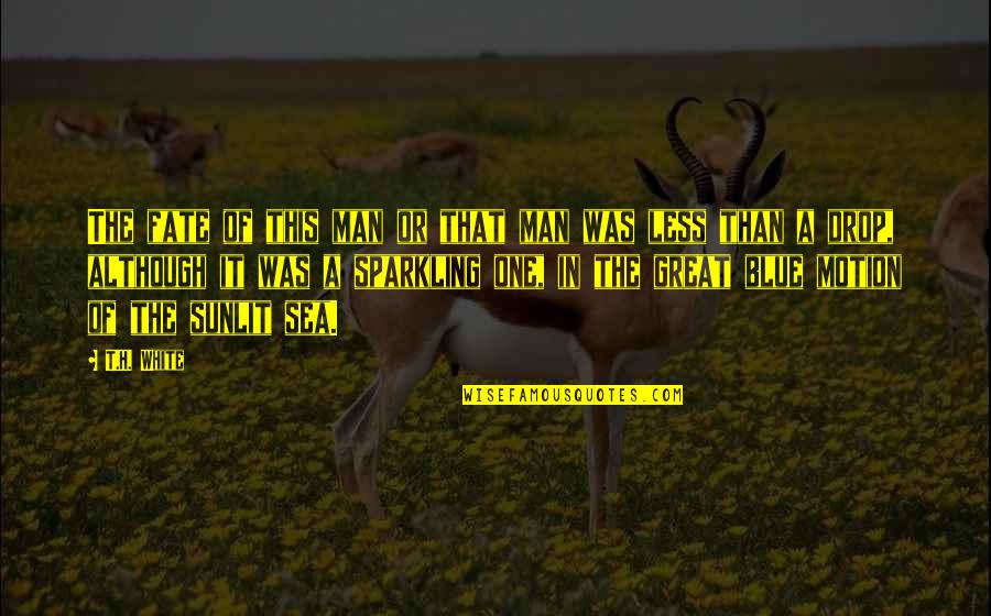 Sea Man Quotes By T.H. White: The fate of this man or that man Sea Man Quotes By T.H. White: The fate of this man or that man