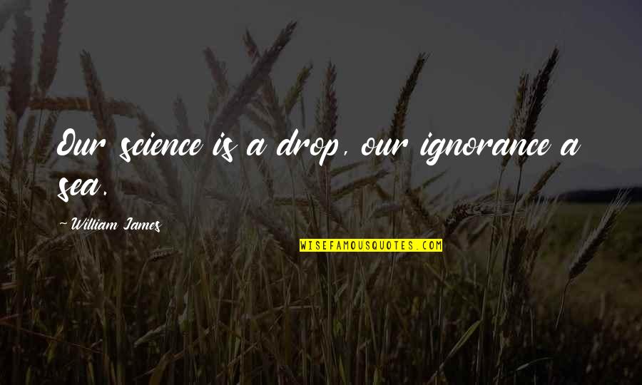 Sea Of Change Quotes By William James: Our science is a drop, our ignorance a