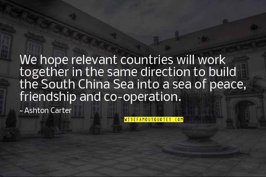 Sea Of Friendship Quotes By Ashton Carter: We hope relevant countries will work together in