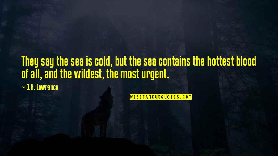 Sea Of Quotes By D.H. Lawrence: They say the sea is cold, but the