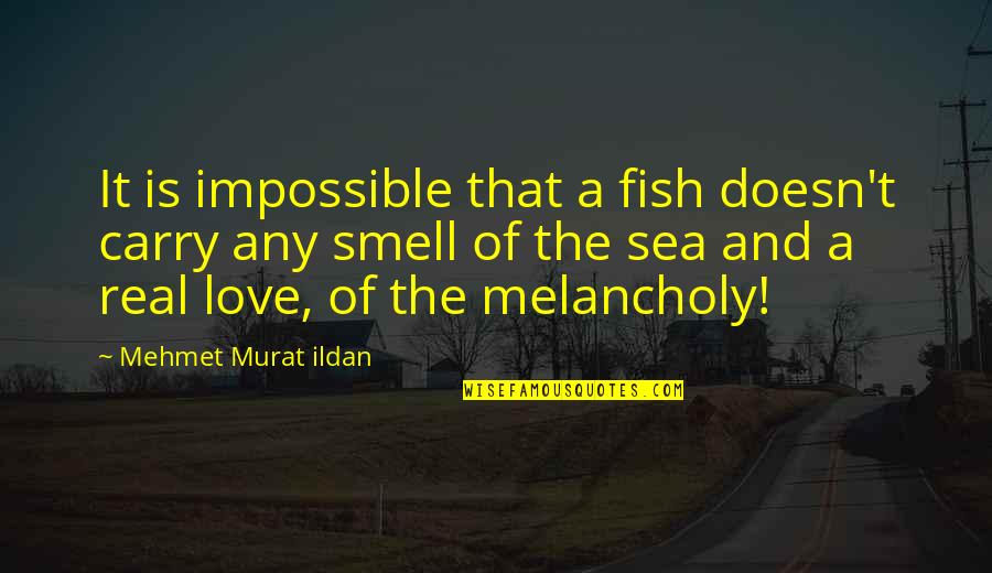 Sea Smell Quotes By Mehmet Murat Ildan: It is impossible that a fish doesn't carry