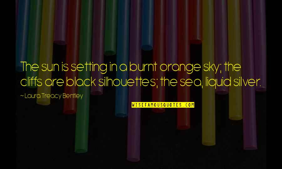 Sea Sun Quotes By Laura Treacy Bentley: The sun is setting in a burnt orange